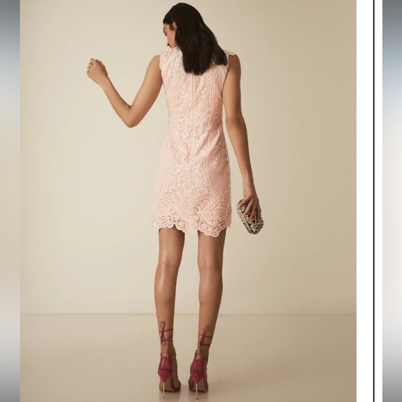EUC REISS Roxanda Capped Sleeve Light Pink Lace Sheath Dress Size 10 - Picture 3 of 7